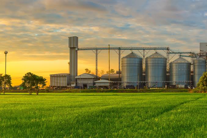 Food Processing Factory